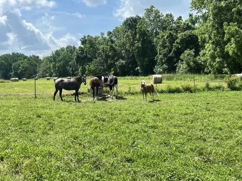 3910 Findley Ln, Macomb, MO 65702 photo 39