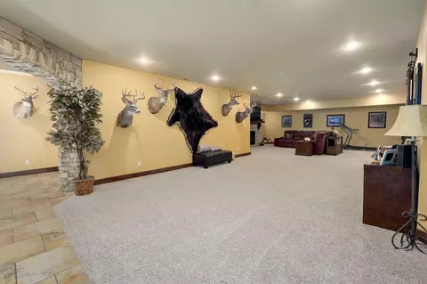 330 Cottage Gate Dr, Billings, MO 65610 photo 48