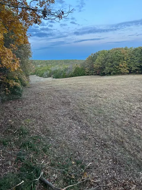 tbd SE 1325, Weaubleau, MO 65774 photo 15