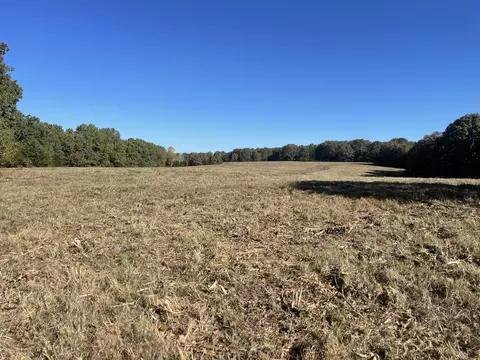 tbd SE 1325, Weaubleau, MO 65774 photo 9