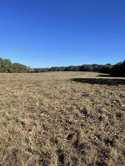 tbd SE 1325, Weaubleau, MO 65774 photo 10