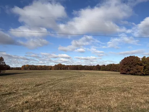tbd SE 1325, Weaubleau, MO 65774 photo 6