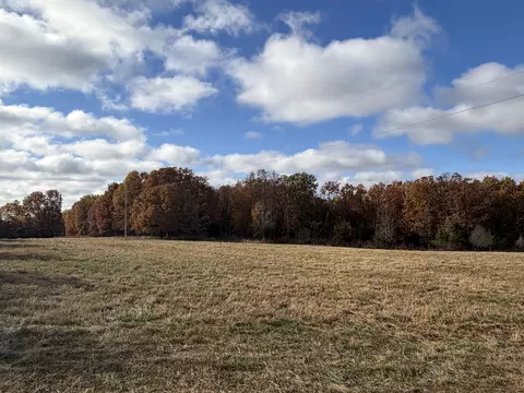tbd SE 1325, Weaubleau, MO 65774 photo 8
