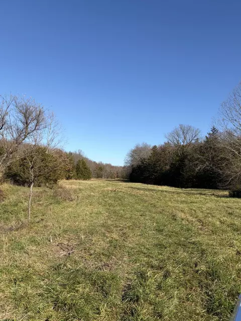 tbd SE 1325, Weaubleau, MO 65774 photo 14