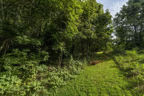 235 Peaceful Pt, Ozark, MO 65721 photo 6