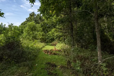 235 Peaceful Pt, Ozark, MO 65721 photo 51