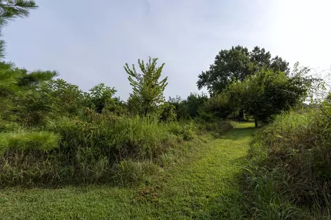 235 Peaceful Pt, Ozark, MO 65721 photo 55