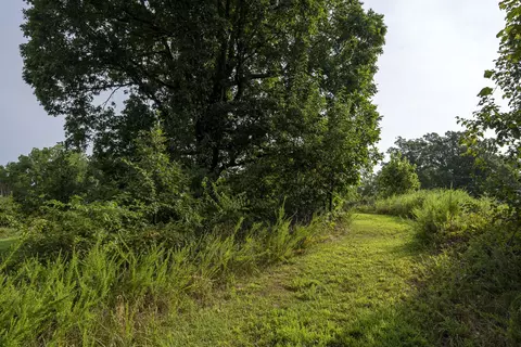 235 Peaceful Pt, Ozark, MO 65721 photo 53