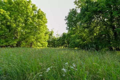 000 Hidden Valley Rd, Clever, MO 65631 photo 18