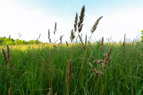000 Hidden Valley Rd, Clever, MO 65631 photo 17