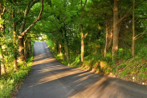 000 Hidden Valley Rd, Clever, MO 65631 photo 23