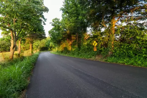 000 Hidden Valley Rd, Clever, MO 65631 photo 26