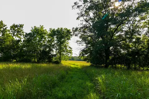 000 Hidden Valley Rd, Clever, MO 65631 photo 15