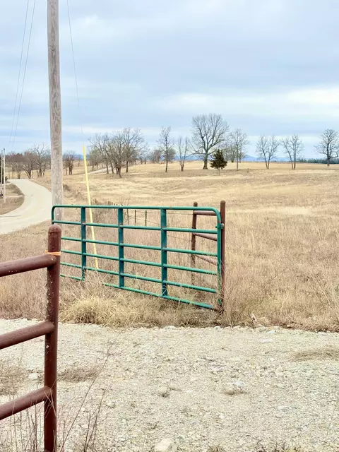 1020 Lazy Acres Rd, Protem, MO 65733 photo 13