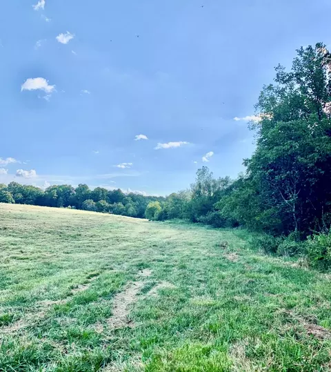 1020 Lazy Acres Rd, Protem, MO 65733 photo 8