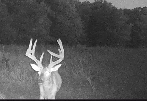 1020 Lazy Acres Rd, Protem, MO 65733 photo 14