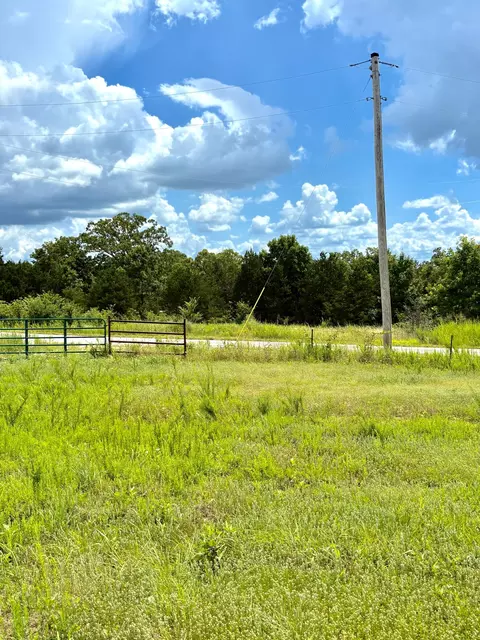 1020 Lazy Acres Rd, Protem, MO 65733 photo 4