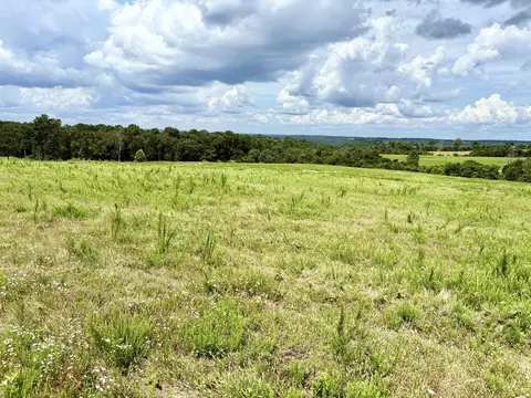 1020 Lazy Acres Rd, Protem, MO 65733 photo 6