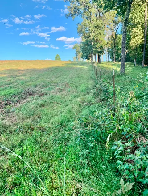 1020 Lazy Acres Rd, Protem, MO 65733 photo 9