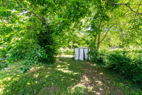 1107 W Nichols St, Springfield, MO 65802 photo 5