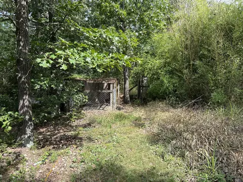 984 Pine Tree Dr, Pineville, MO 64856 photo 14