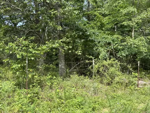 984 Pine Tree Dr, Pineville, MO 64856 photo 21