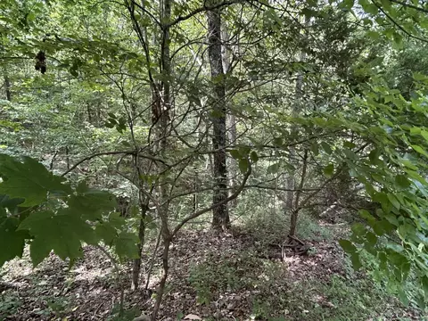 984 Pine Tree Dr, Pineville, MO 64856 photo 19