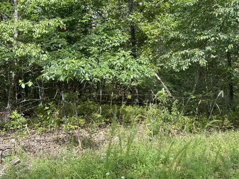 984 Pine Tree Dr, Pineville, MO 64856 photo 22