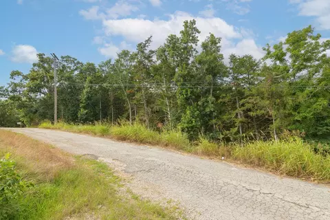 2028 Indian Point Rd, Branson, MO 65616 photo 13