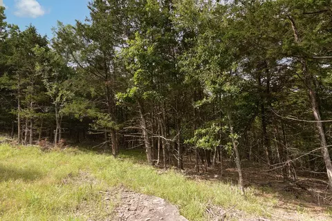 2028 Indian Point Rd, Branson, MO 65616 photo 14