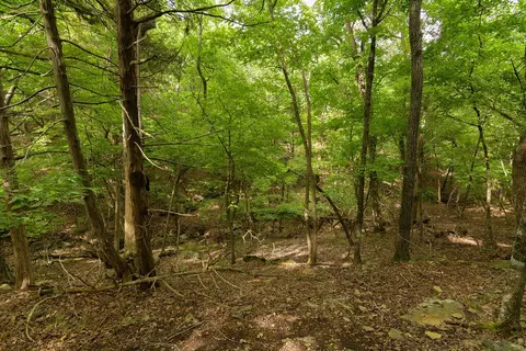 2028 Indian Point Rd, Branson, MO 65616 photo 19