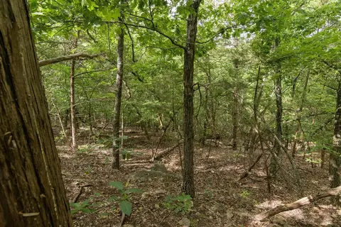 2028 Indian Point Rd, Branson, MO 65616 photo 16