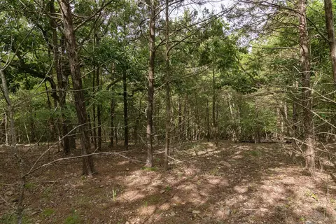 2028 Indian Point Rd, Branson, MO 65616 photo 15