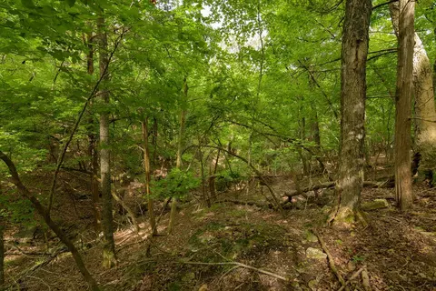 2028 Indian Point Rd, Branson, MO 65616 photo 21