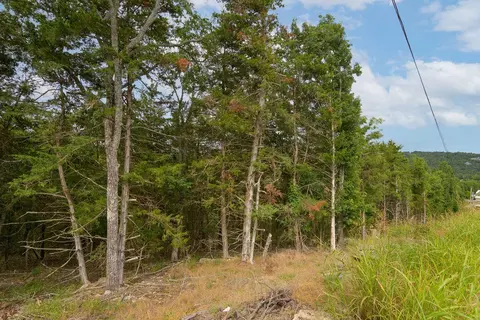 2028 Indian Point Rd, Branson, MO 65616 photo 11