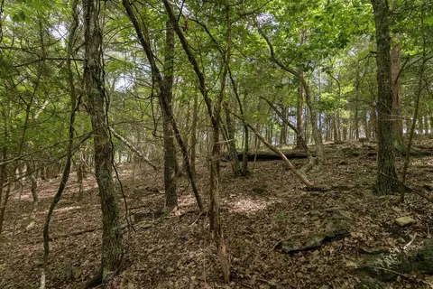 2028 Indian Point Rd, Branson, MO 65616 photo 17