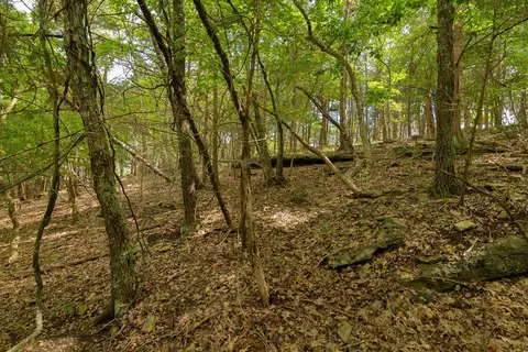 2028 Indian Point Rd, Branson, MO 65616 photo 18