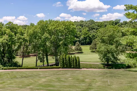 6323 Creeksedge Ct, Ozark, MO 65721 photo 78
