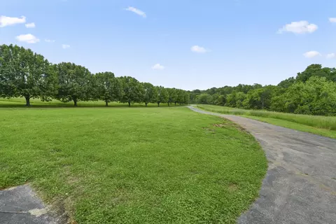 Other - 1425 E Lark St, Ozark, MO 65721 photo 5 of 45