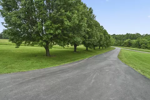 Other - 1425 E Lark St, Ozark, MO 65721 photo 2 of 45