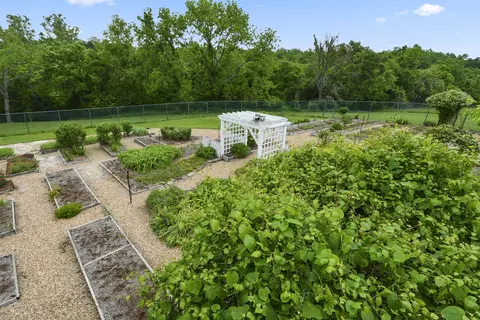 View/Area - 1425 E Lark St, Ozark, MO 65721 photo 3 of 11