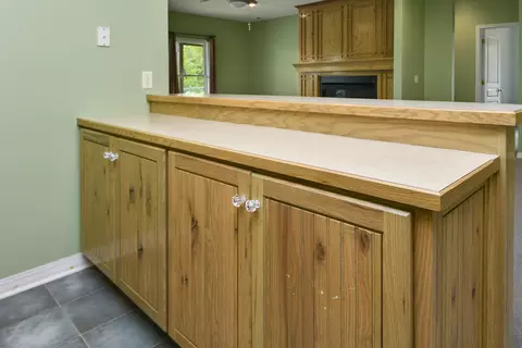 Other - 1425 E Lark St, Ozark, MO 65721 photo 23 of 45