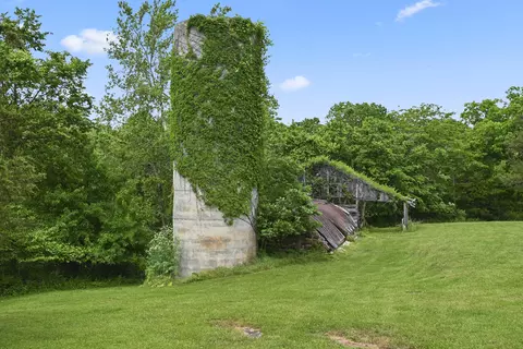 Exterior - 1425 E Lark St, Ozark, MO 65721 photo 32 of 32