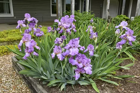 Other - 1425 E Lark St, Ozark, MO 65721 photo 33 of 45