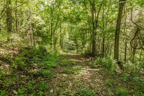 Other - 32103 State Highway 413, Galena, MO 65656 photo 26 of 35