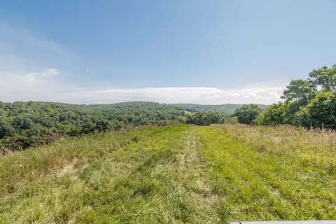 Other - 32103 State Highway 413, Galena, MO 65656 photo 25 of 35