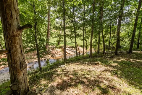 Other - 32103 State Highway 413, Galena, MO 65656 photo 16 of 35