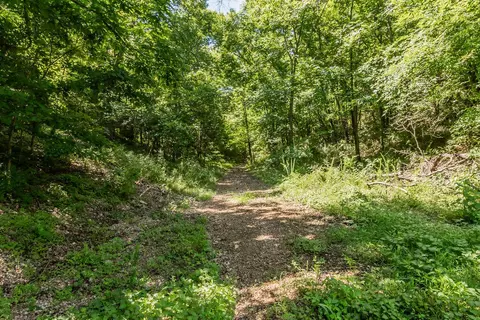 Other - 32103 State Highway 413, Galena, MO 65656 photo 29 of 35