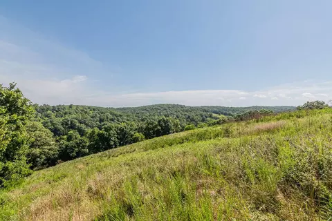 Other - 32103 State Highway 413, Galena, MO 65656 photo 24 of 35