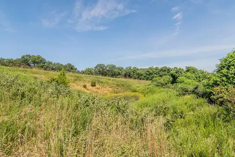 View/Area - 32103 State Highway 413, Galena, MO 65656 photo 2 of 2